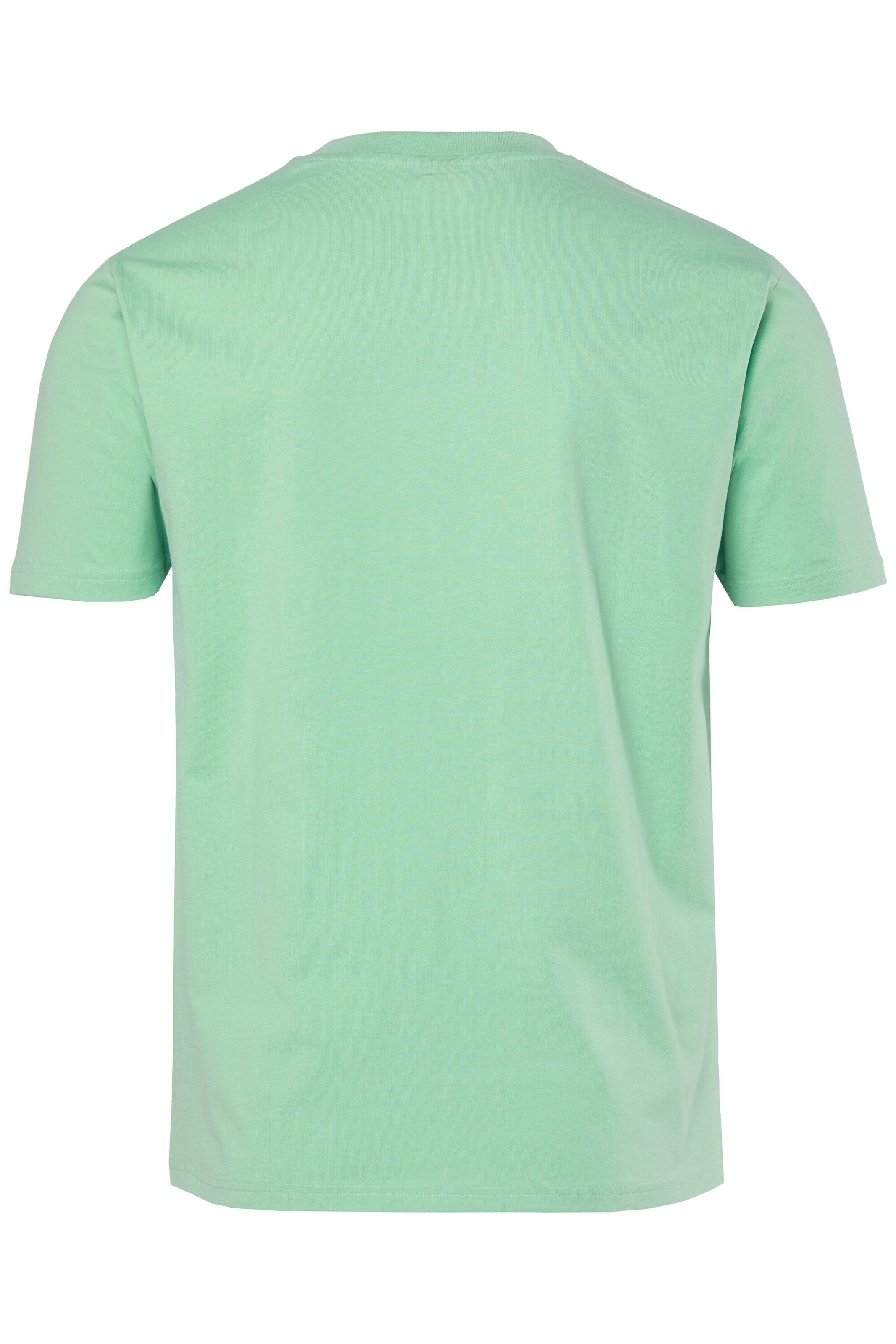 Men Plus Shirt in Grün
