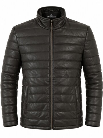 Giacca di mezza stagione 'Arctic Puffer' di Chic and Clicks in marrone: frontale