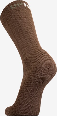 UphillSport Athletic Socks 'KALDO' in Brown