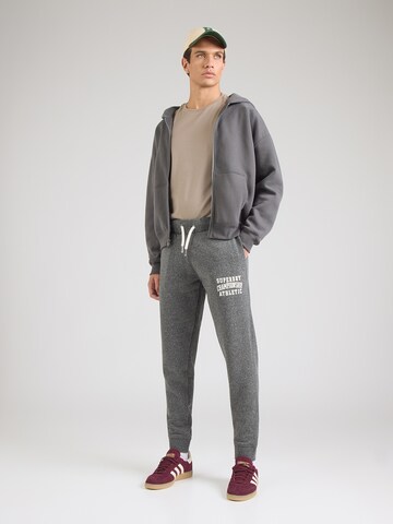 Effilé Pantalon Superdry & Co en gris