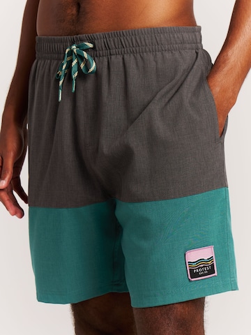 PROTEST Board Shorts 'Cabus' in Green