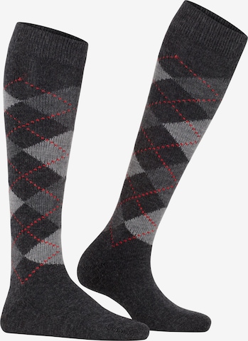 BURLINGTON Over the Knee Socks 'Whitby' in Grey: front
