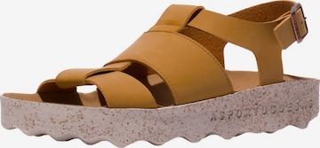 Asportuguesas Sandal in Brown: front