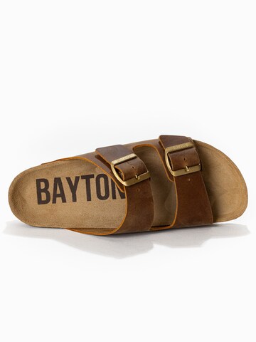 Mule 'Atlas' Bayton en marron