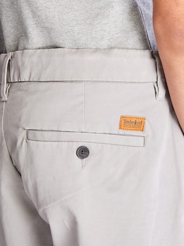 regular Pantaloni di TIMBERLAND in grigio