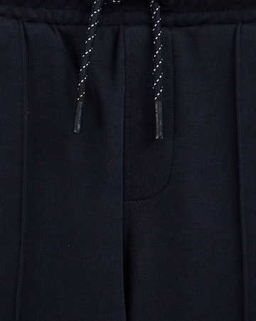 WE Fashion Regular Pants in Blue