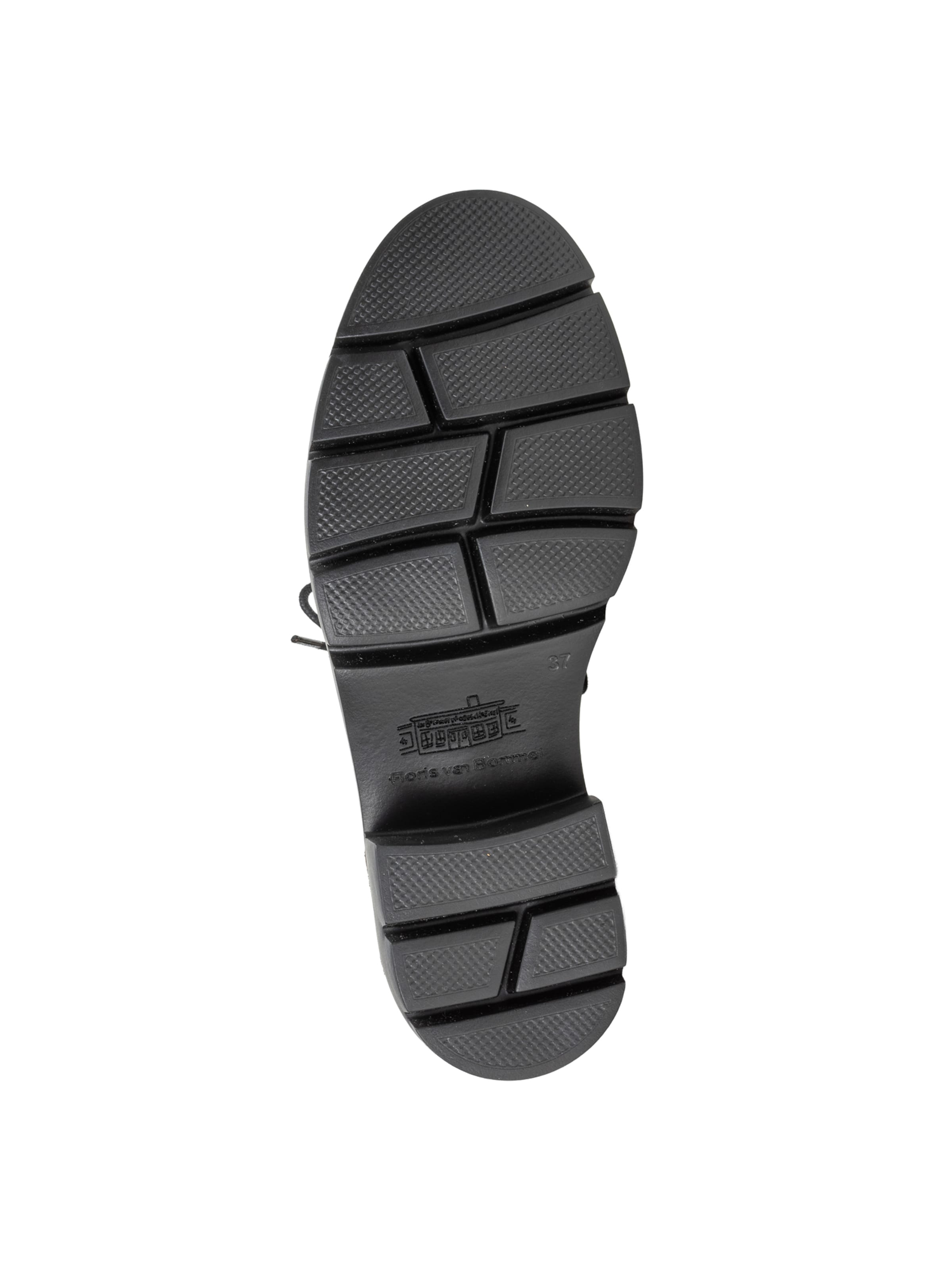 Scarpa stringata ' MADDI 03 ' di Floris van Bommel in marrone