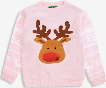 Threadgirls Sweater 'Forest' in Pink: front