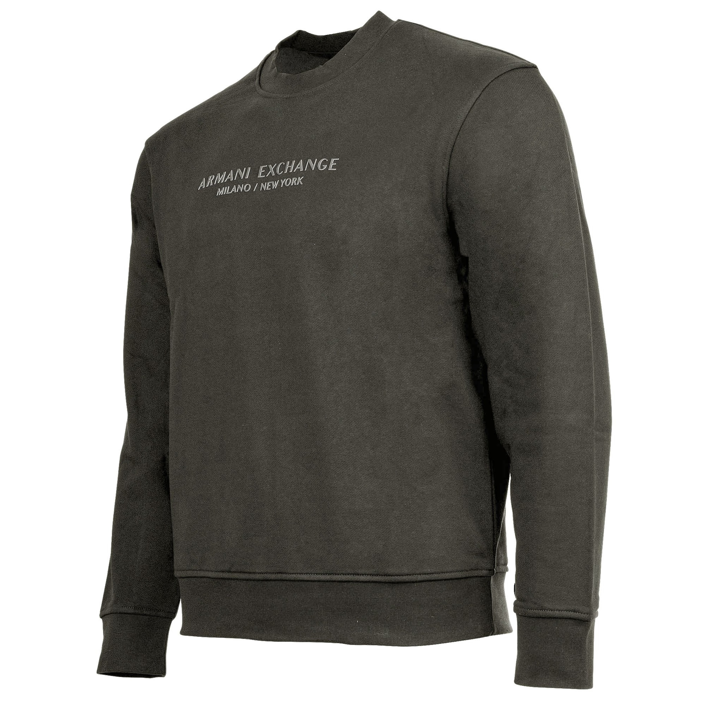 ARMANI EXCHANGE Sweatshirt in Grijs