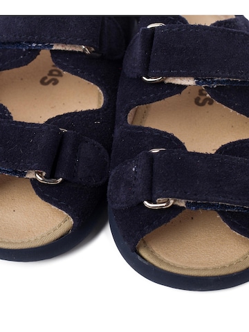 Pisamonas Sandalen in Blauw