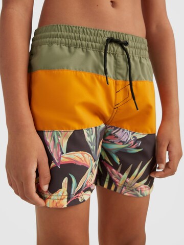 Shorts de bain O'NEILL en mélange de couleurs