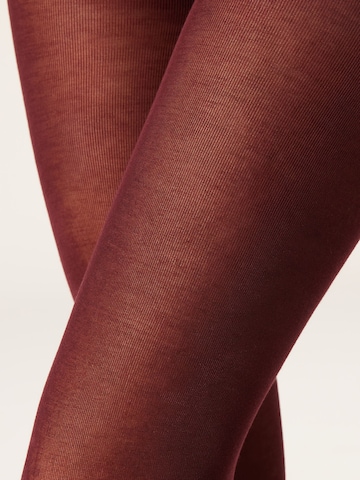 CALZEDONIA Strumpfhosen in Rot