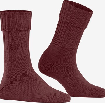 FALKE Socken 'Striggings Rib' in Rot: Vorderseite