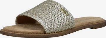 sidabrinė bugatti Šlepetės: priekis