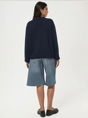 Hiccup - Pullover em azul