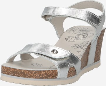 PANAMA JACK Sandals 'Julia' in Silver: front