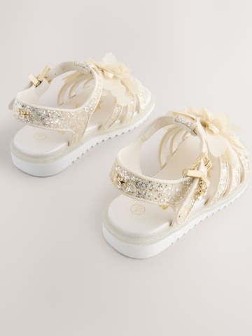 Baker by Ted Baker Sandalen in Goud