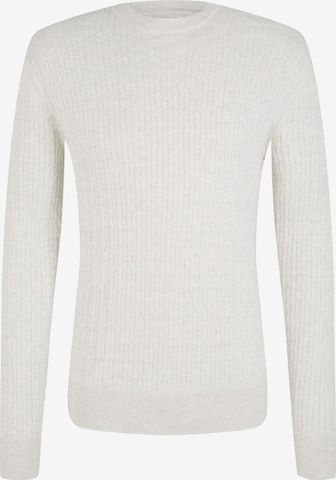 TOM TAILOR Sweater in Grey: front