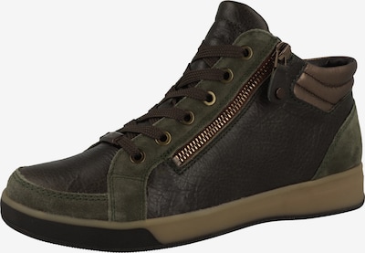 ARA Sneaker in bronze / khaki, Produktansicht