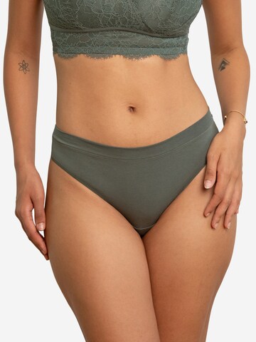 SugarShape String in Groen