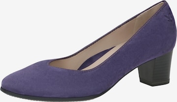CAPRICE Pumps in Lila: Vorderseite
