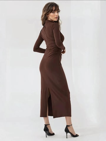 Hiccup Kleid in Braun