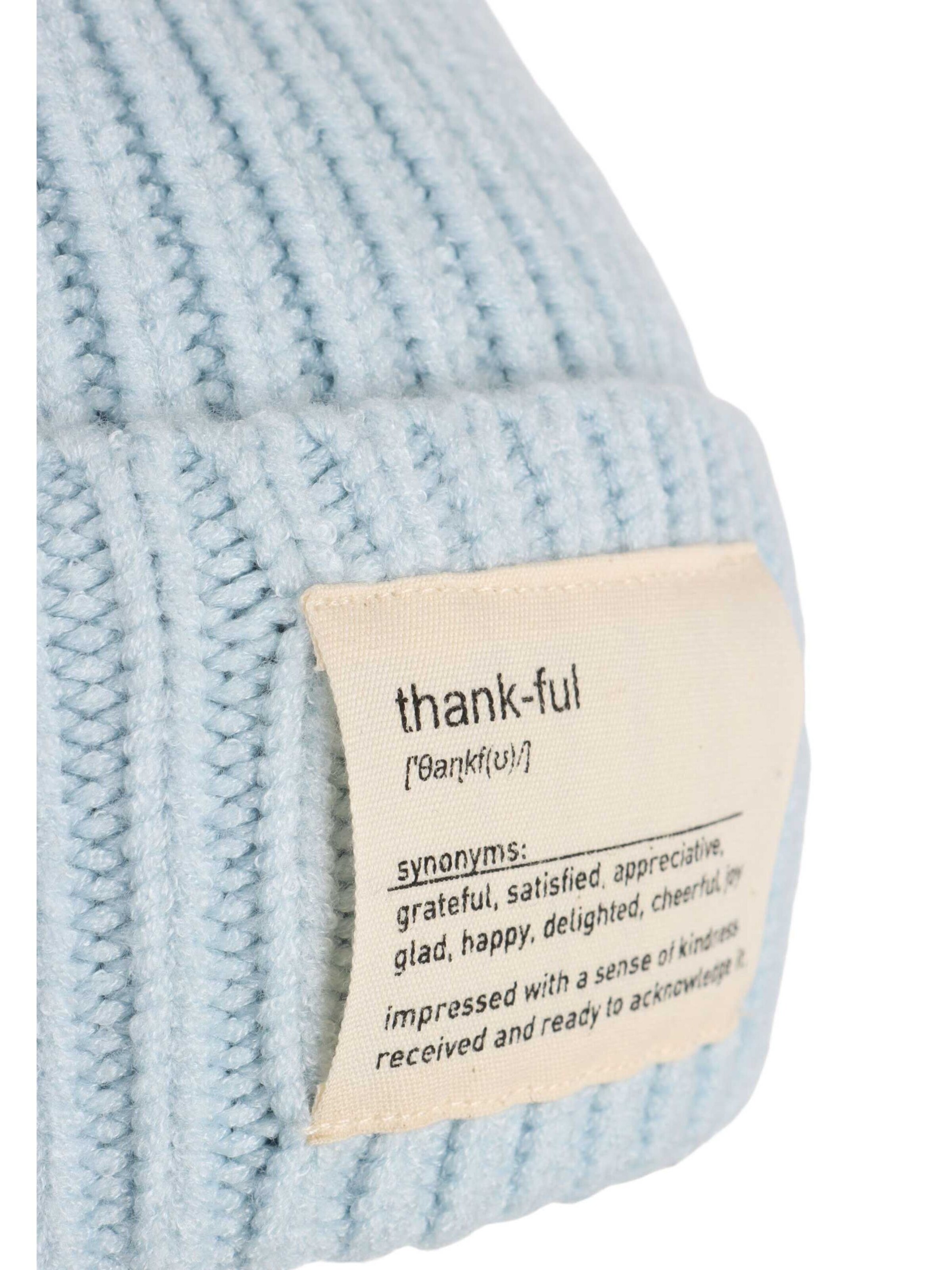 SAMAYA Beanie in Blue