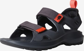 THE NORTH FACE Sandal 'Hedgehog' i grå: framsida