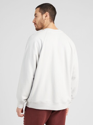 HOLLISTER Sweatshirt 'APAC EXCLUSIVE' in Grau