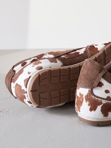 Baskets basses Next en marron