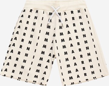 Marni Regular Pants in White: front