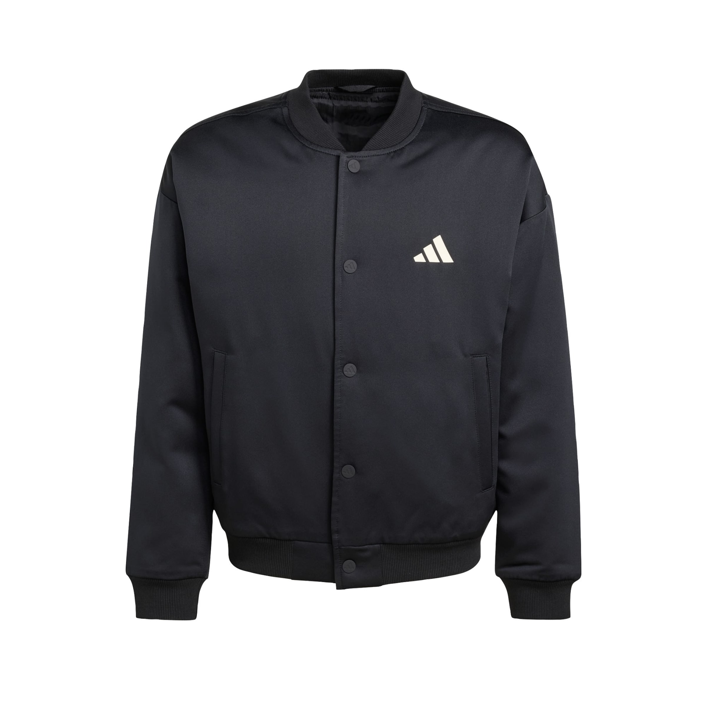 ADIDAS SPORTSWEAR - Chaqueta de montaña en negro: frente
