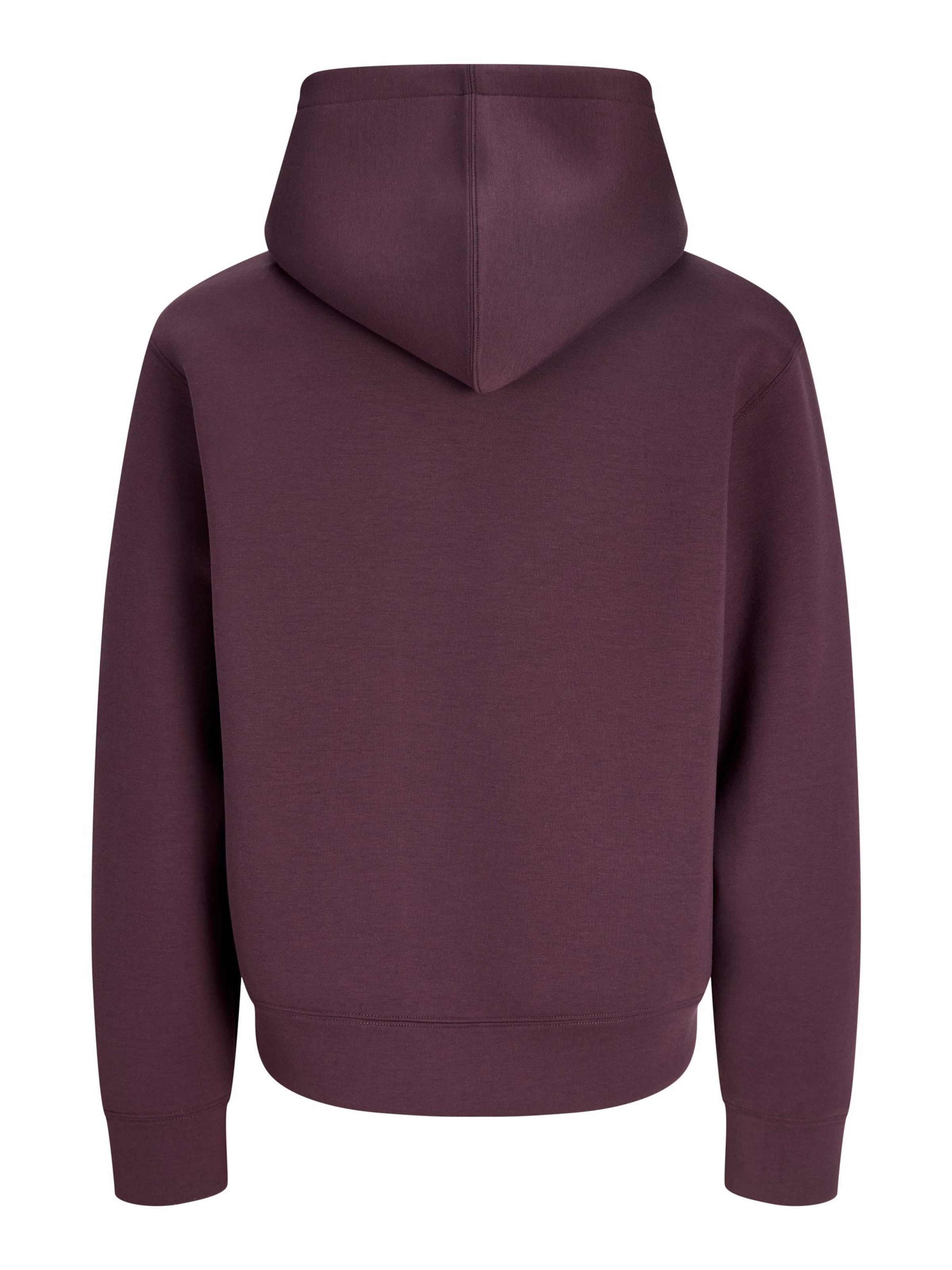 JACK & JONES Sweatshirt 'JCOLEGACY' in Purple