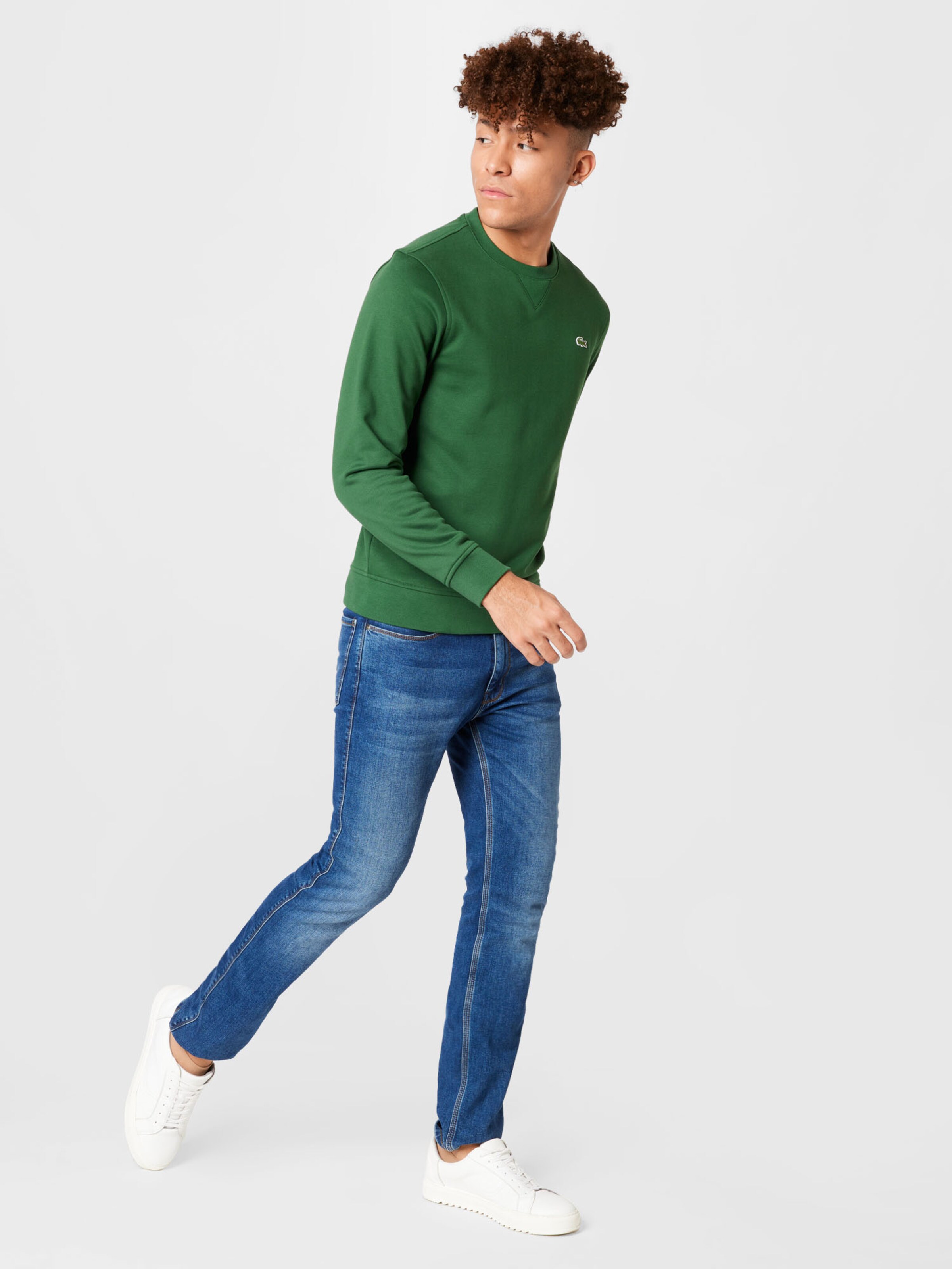 Männer Große Größen LACOSTE Sweatshirt in Hellgrün - LT39226 Männer Große Größen LACOSTE Sweatshirt in Hellgrün - LT39226
