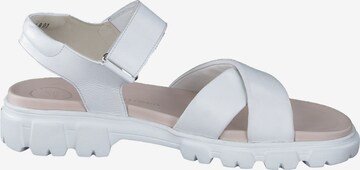 Paul Green Sandals in White