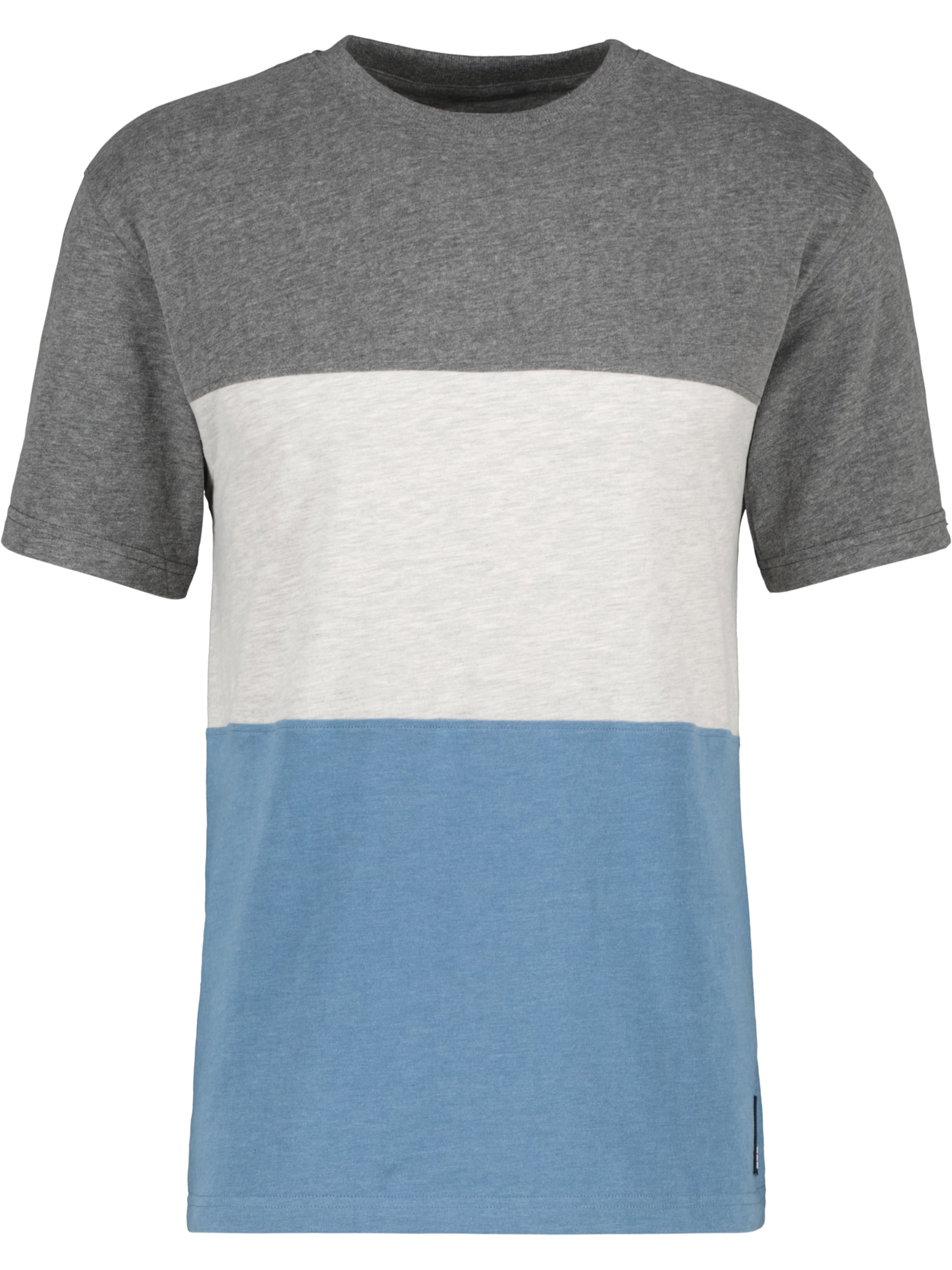 T-Shirt 'BenAK A' alife & kickin en gris : devant