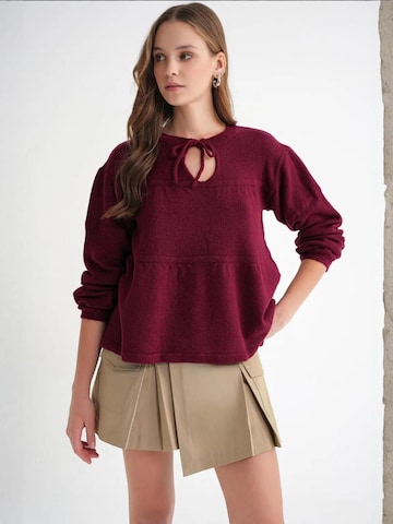 Pull-over 'Pullover' MixRay en rouge