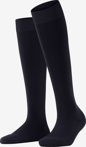 FALKE Knee High Socks 'ClimaWool' in Blue: front