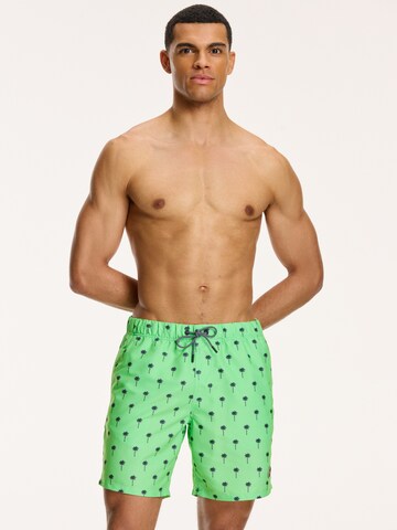 Shorts de bain 'PALM' Shiwi en vert : devant