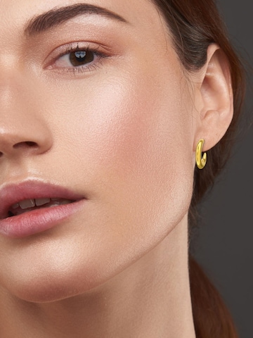 Maxte Ohrringe‌‌‌ in Gold