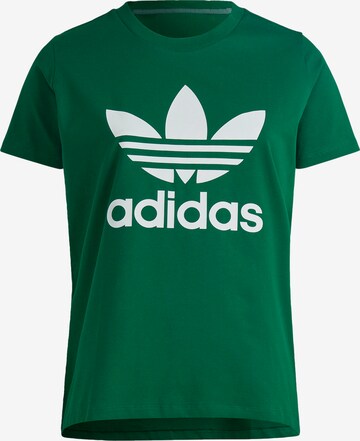 ADIDAS ORIGINALS Shirt 'Adicolor Classics Trefoil ' in Groen: voorkant