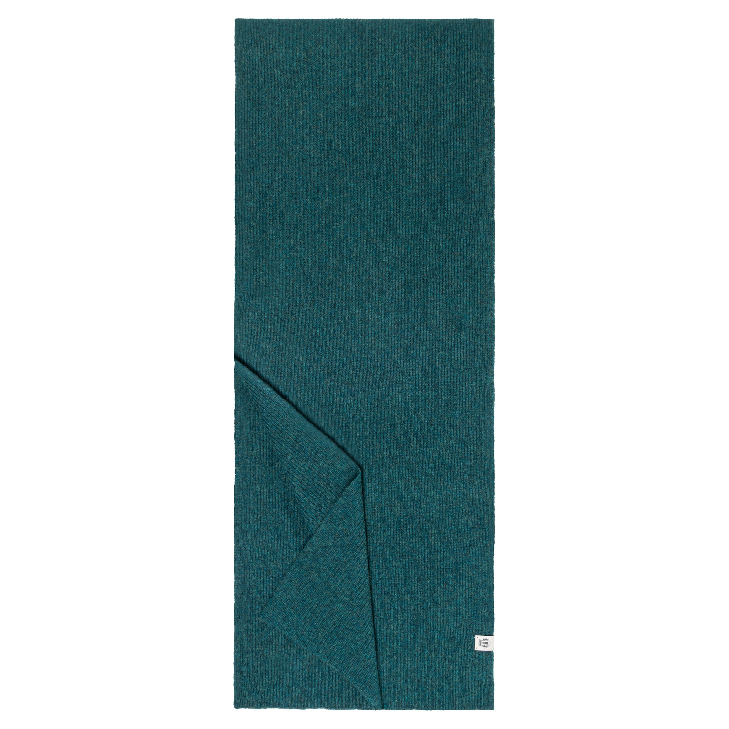 Roeckl Scarf in Green: front