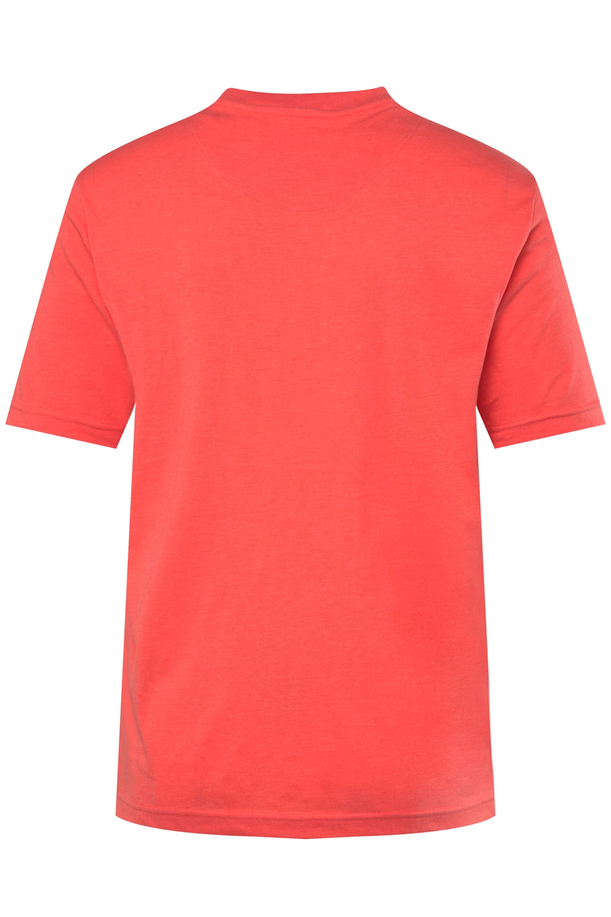 Men Plus Shirt in Blue