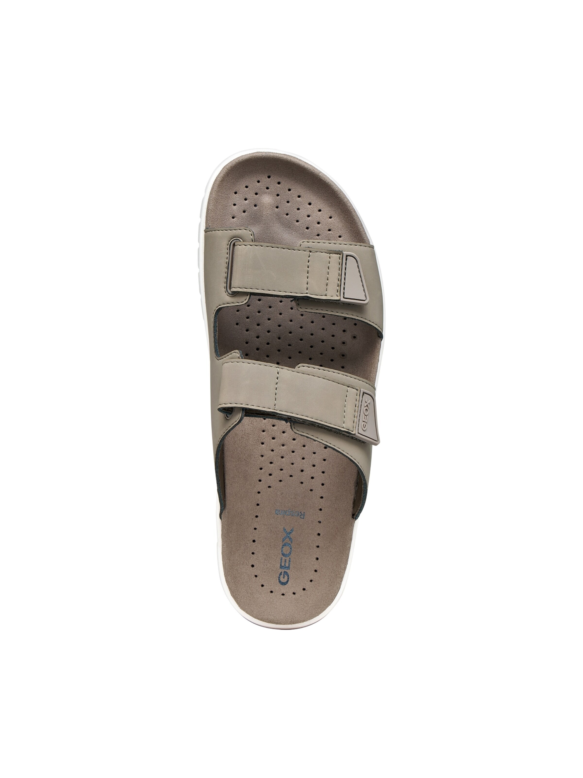 GEOX Mule in Grey
