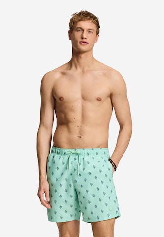Shorts de bain Shiwi en vert : devant