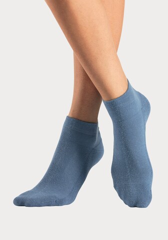 H.I.S Socks in Blue