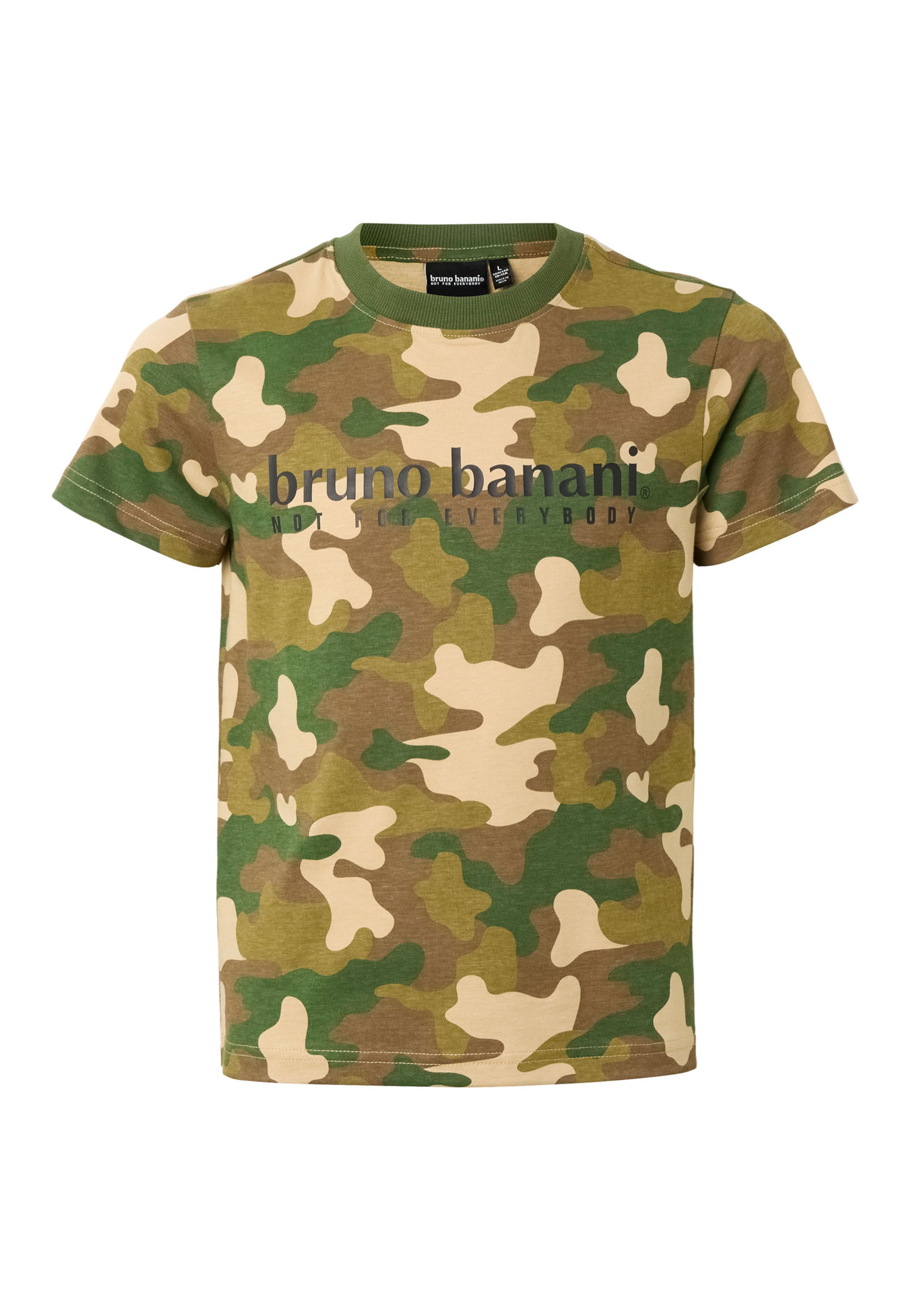 Bruno Banani Shirt in Groen: voorkant