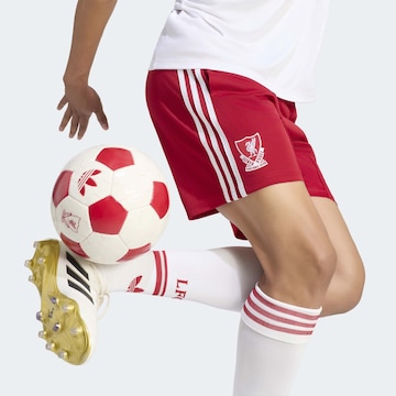 regular Pantaloni sportivi 'FC Liverpool 26/27' di ADIDAS PERFORMANCE in rosso