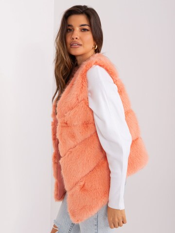 Madnezz House Weste '2349.00P' in Orange