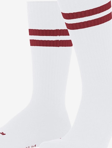 FALKE Socken 'Dynamic' in Beige: Vorderseite